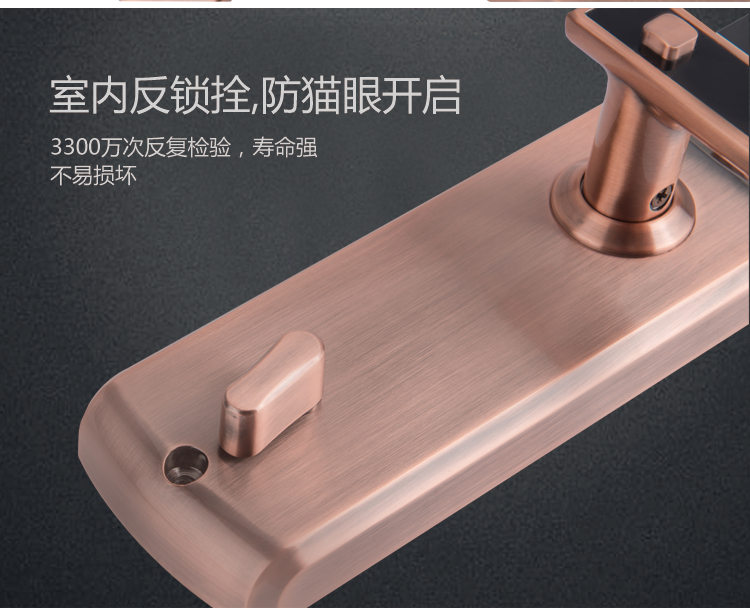 智能指纹锁     Intelligent fingerprint lock